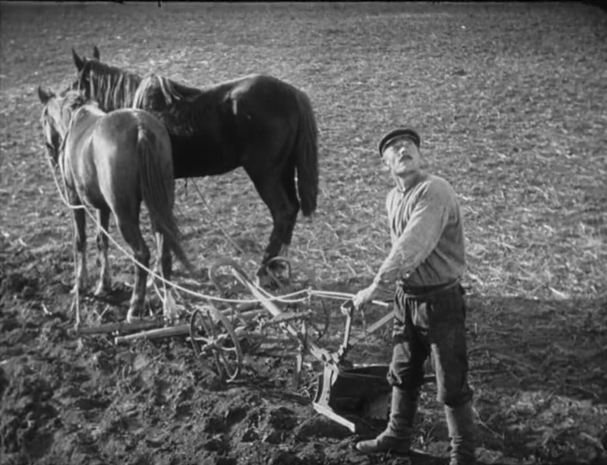 Soviet Cinema tweet media