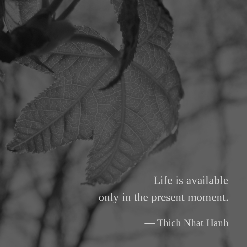 wectar's tweet image. Life is available only in the present moment. — Thich Nhat Hanh

#ThichNhatHanh #present #moment #life