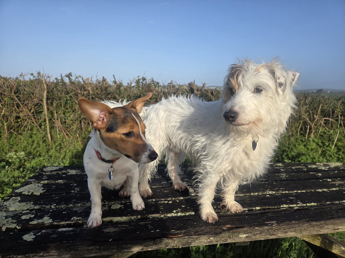 🌱Catherine Appleton tweet media