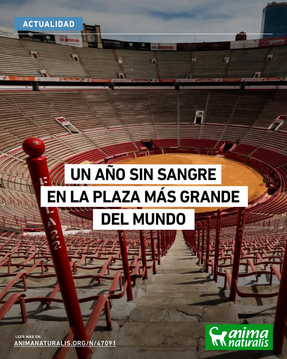 AnimaNaturalisMéxico tweet media