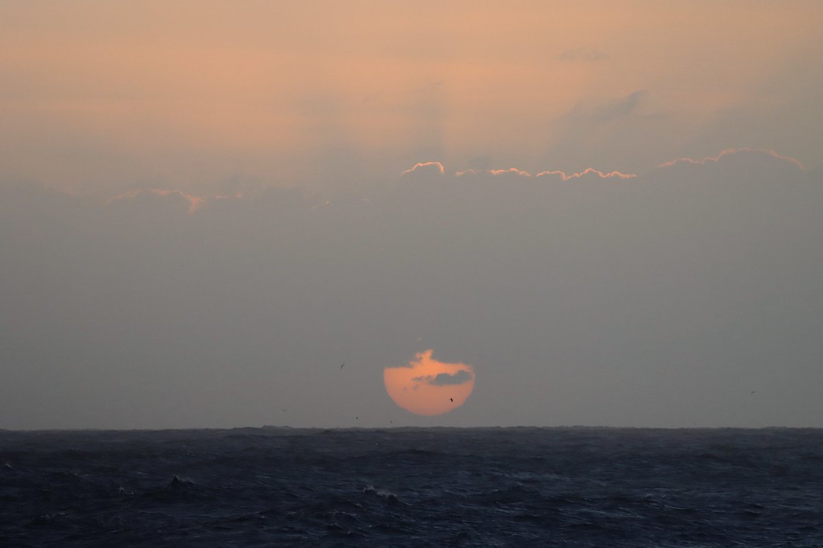 RITO PÉREZ GARCÍA tweet media