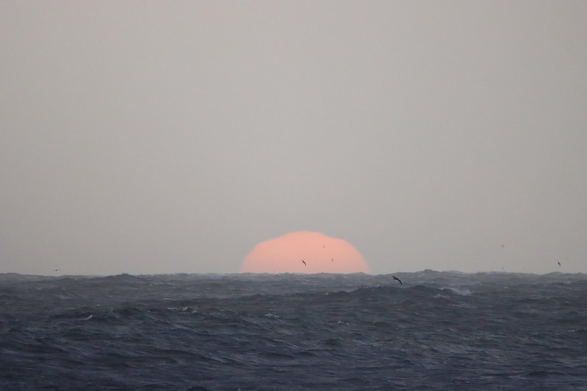 RITO PÉREZ GARCÍA tweet media