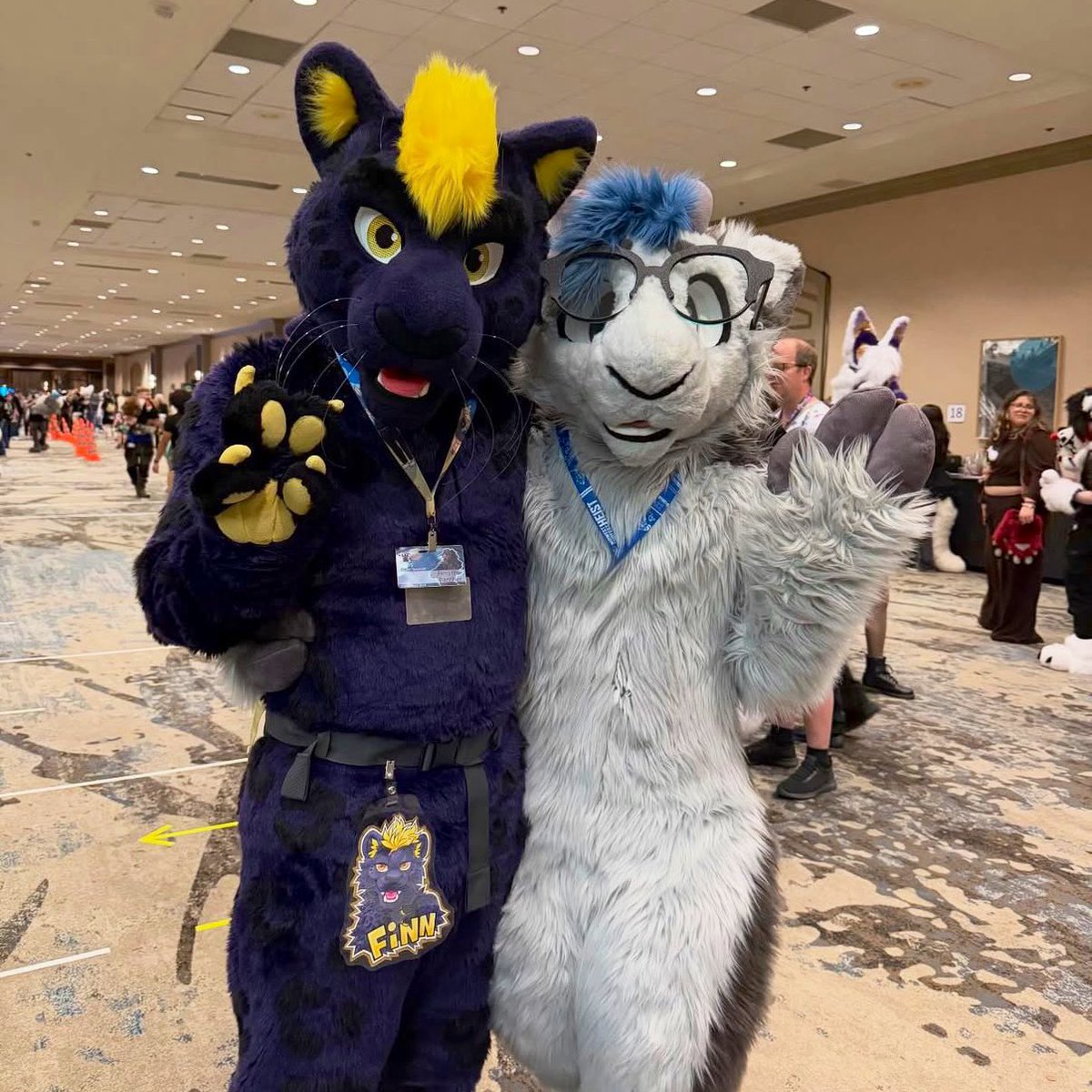 Finn ➡️ LVFC tweet media