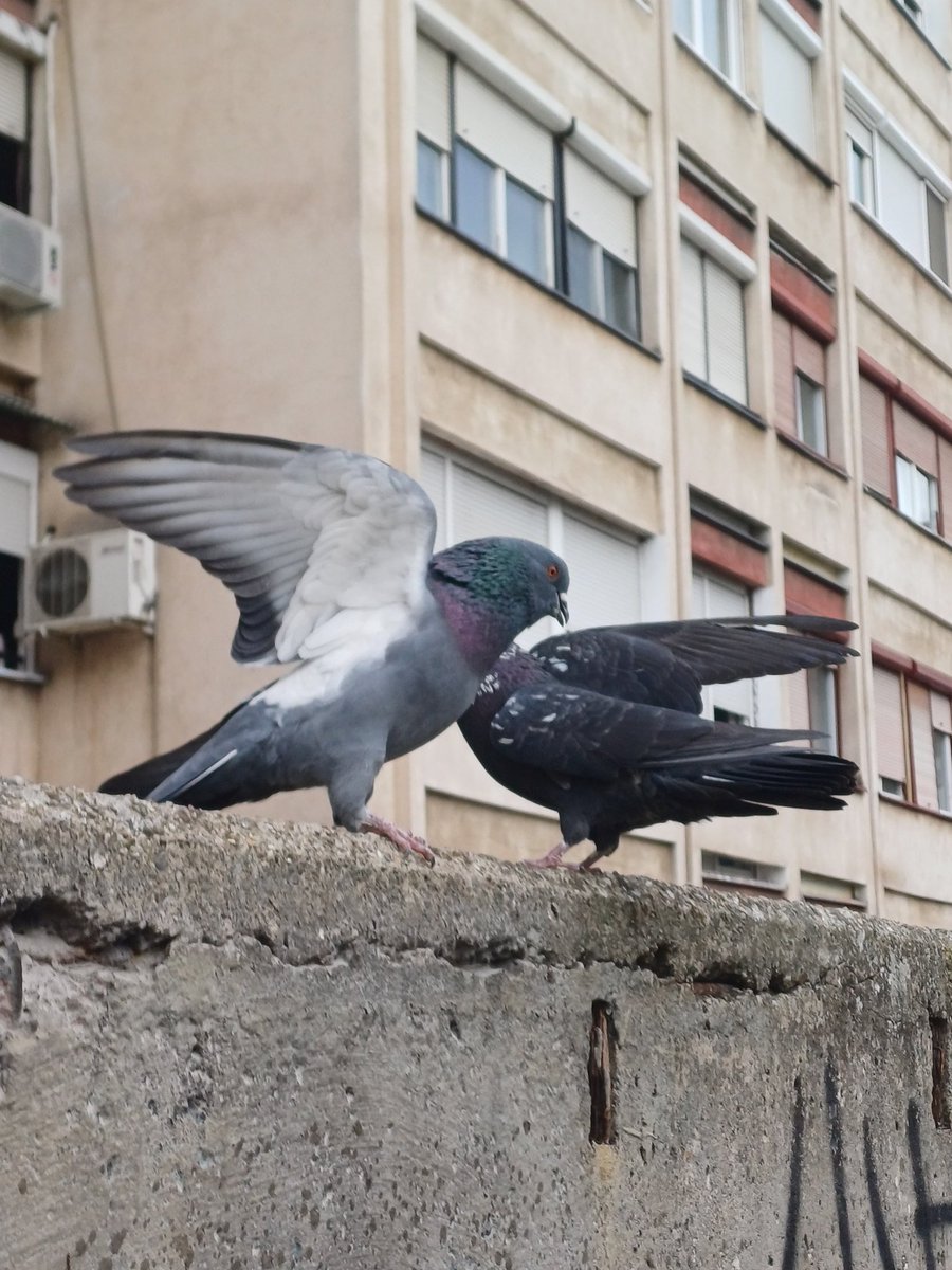 ur left buttcheek tweet media