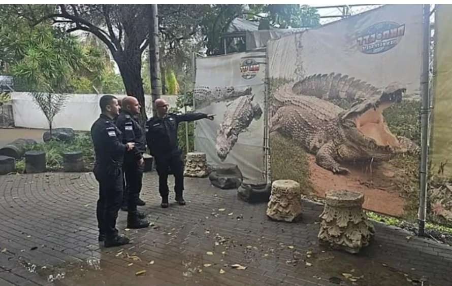 Historian tweet media