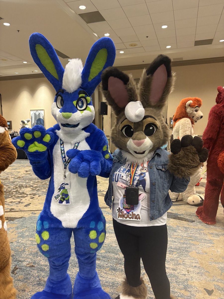 Mocha🐰 tweet media