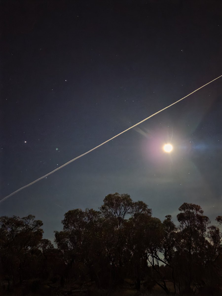 Leighton Wilksch tweet media