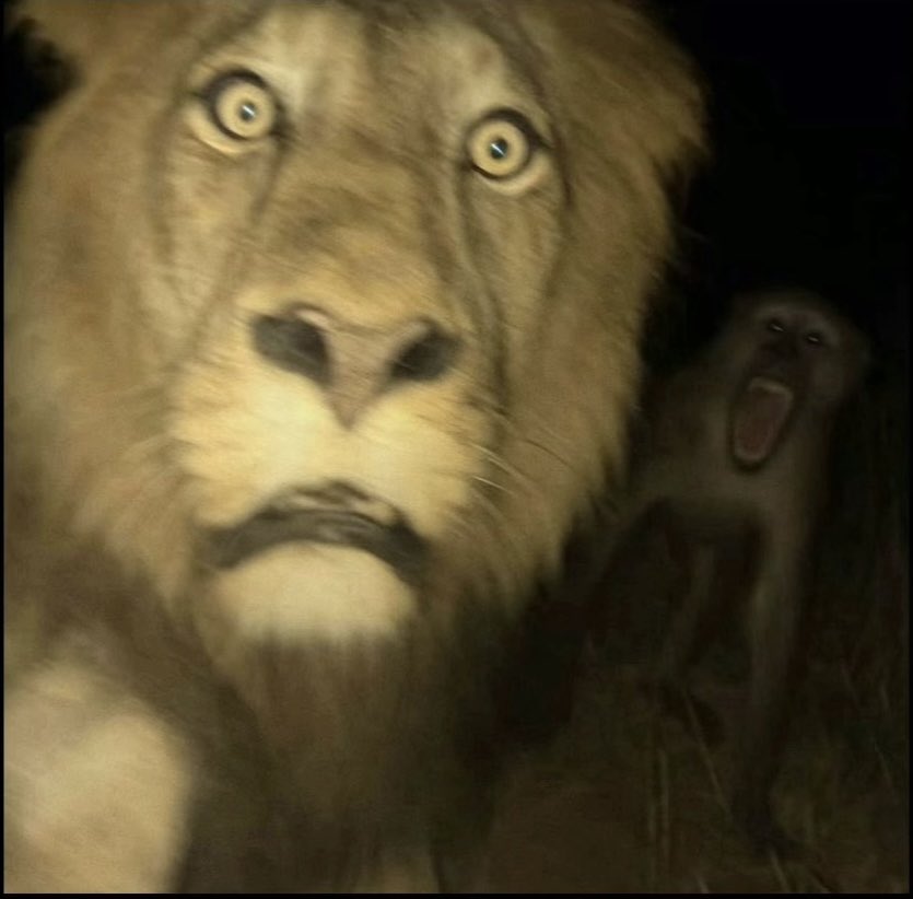 Muad’Dib Usul tweet media