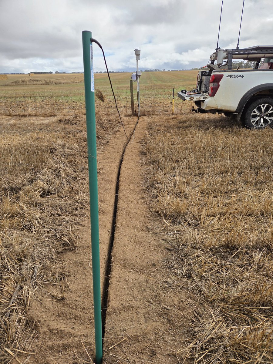 Leighton Wilksch tweet media