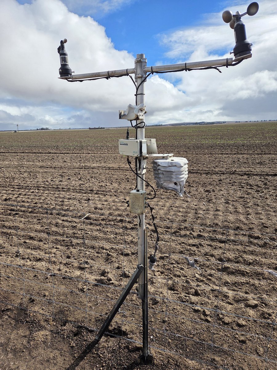 Leighton Wilksch tweet media