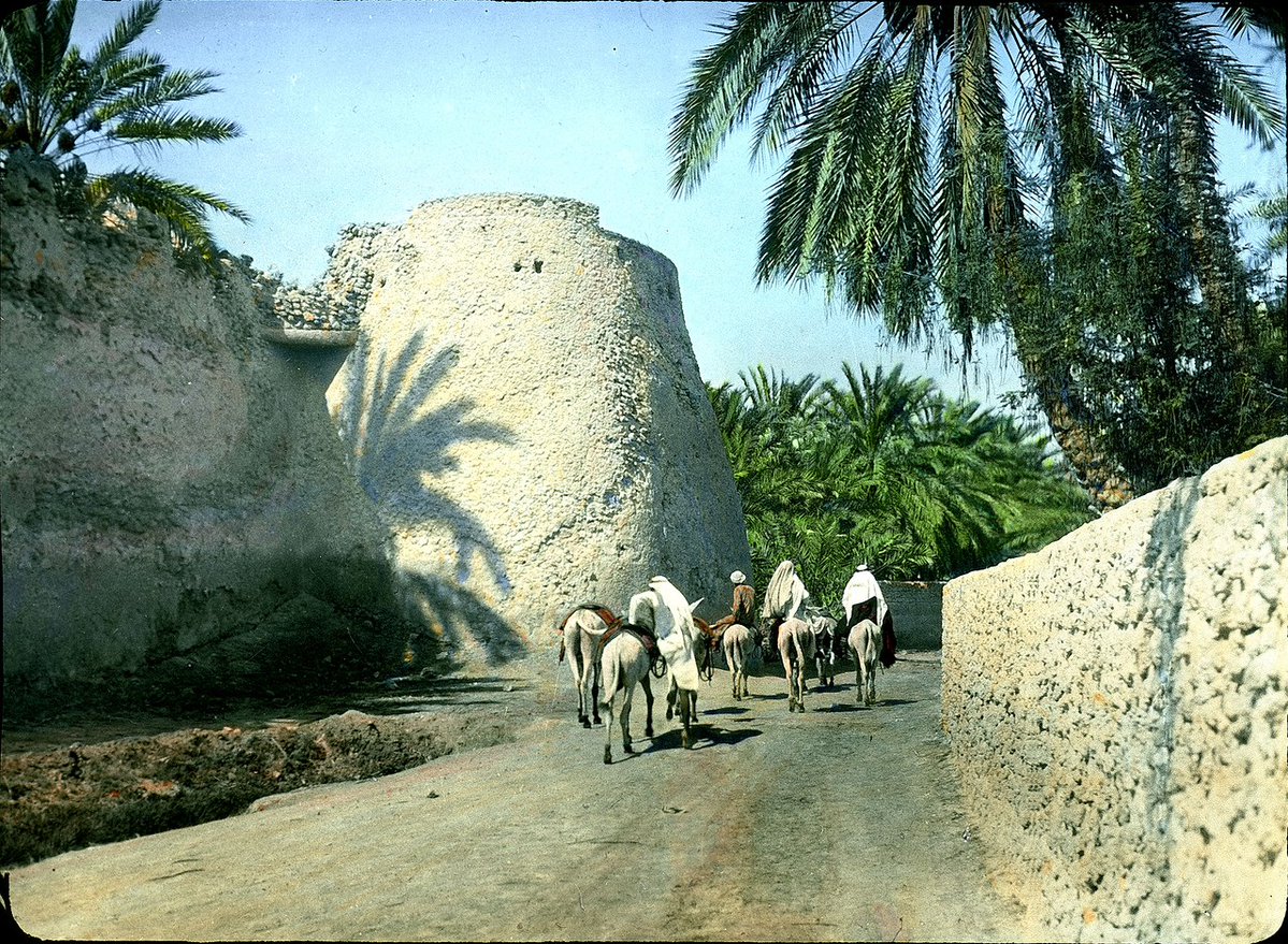 علي آل فريج | الخطّي tweet media