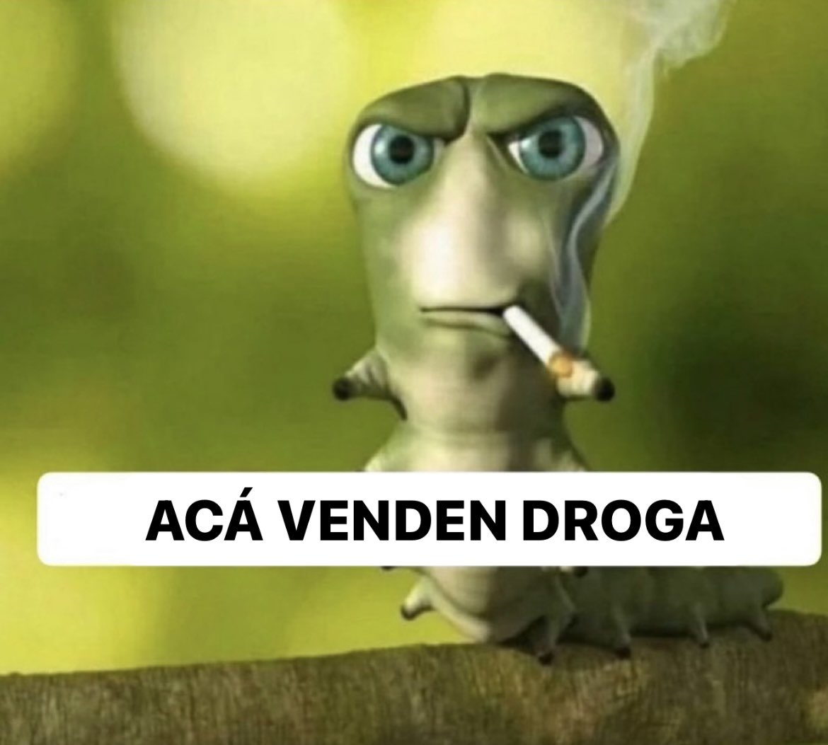 Hámster sin pelo tweet media