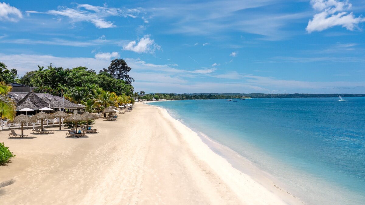 honeymoonscom's tweet photo. Escape to Sandals Negril, an adults-only, all-inclusive paradise on Jamaica's Seven Mile Beach, where west-facing shores deliver postcard sunsets and 7 restaurants await. Honeymooners love the barefoot luxury and swim-up suites for effortless romance. https://t.co/j6VuVdObHF https://t.co/KvIK84ozEB