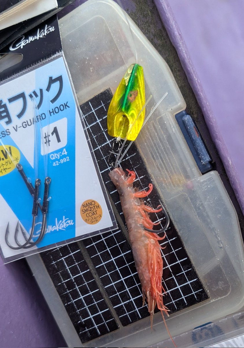 かみかみ♪ tweet media