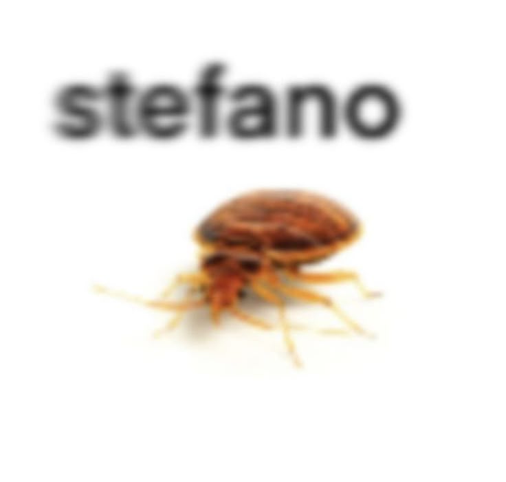 ͟♯ ͏ ͏ ͏* ͏ ͏ ͏ ͏𝟻𝟶𝟶 ͏ ͏ 𝒎𝗶𝗹𝗲𝘀 ͏ ͏ ⎖ tweet media