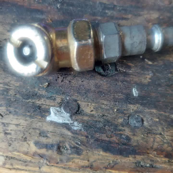 Elizabeth❣️ tweet media