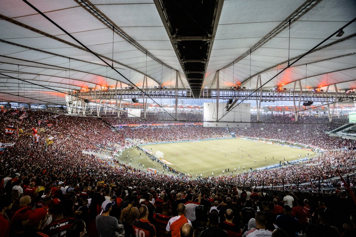 Venê Casagrande tweet media