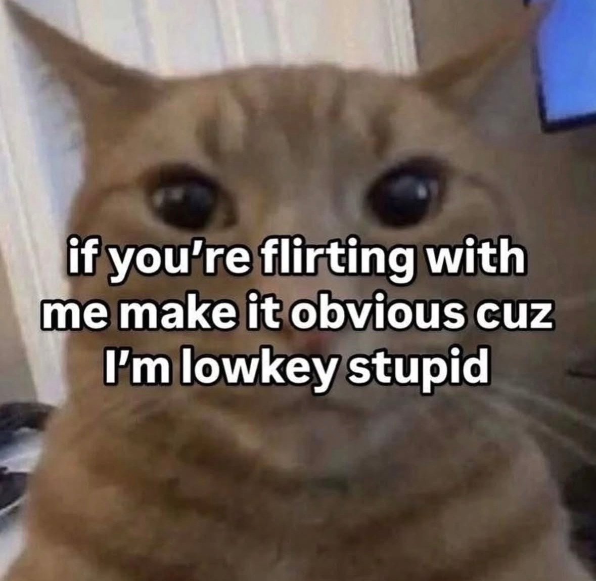 Rokkuu Basileus tweet media