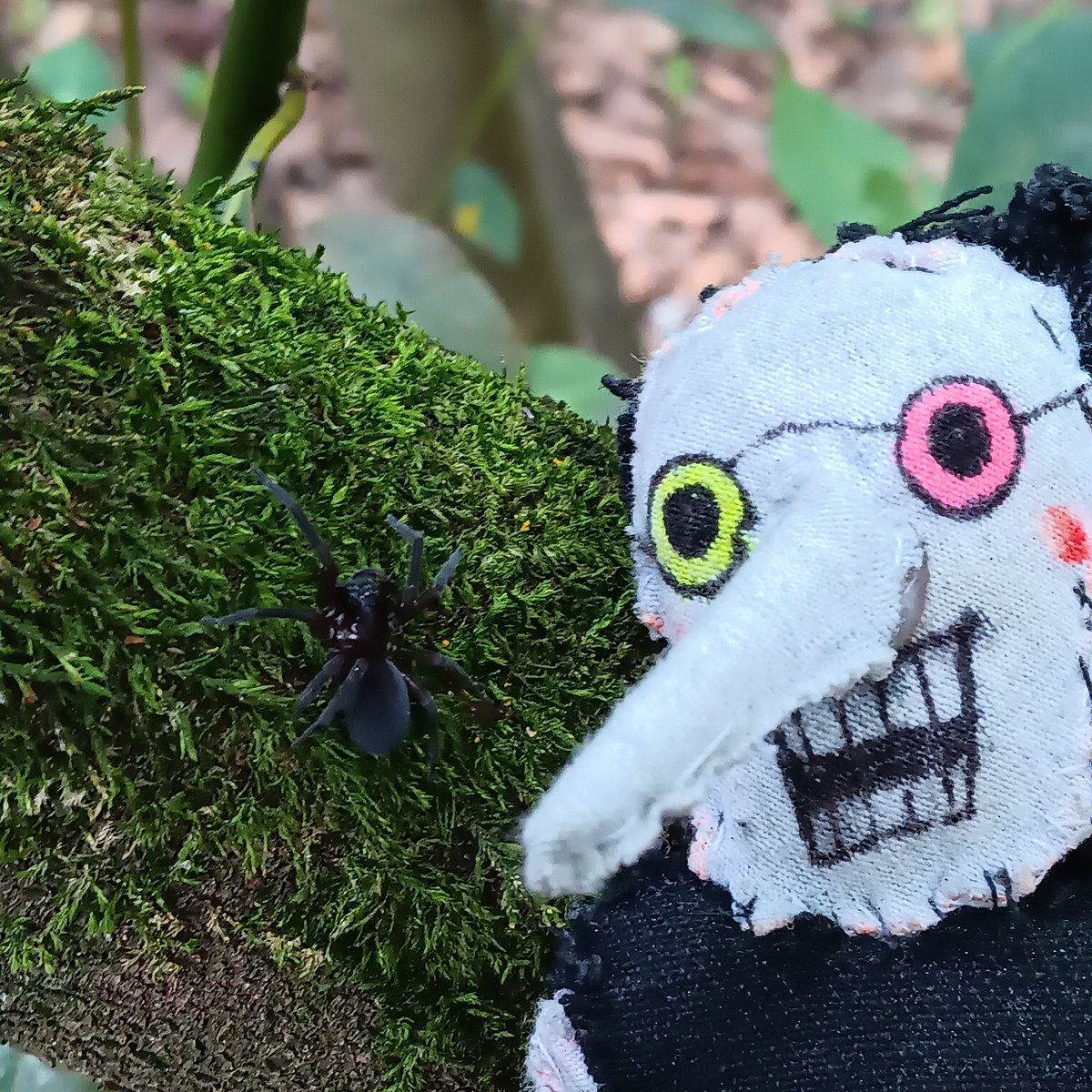 useless worm tweet media