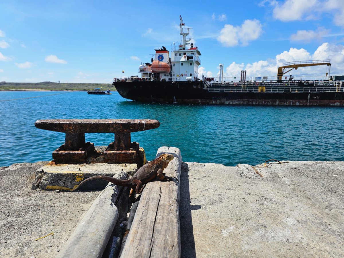 Agencia de Regulación y Control de Hidrocarburos tweet media