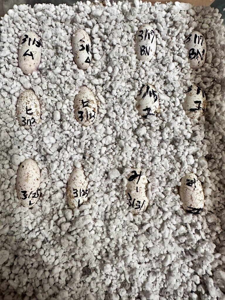 🩷𝐏𝐫𝐢𝐧𝐜𝐞𝐬𝐬((о´∀`о)ノ🩷 tweet media