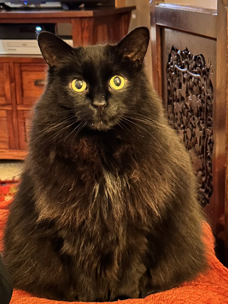 Weirdly even older fan tweet media