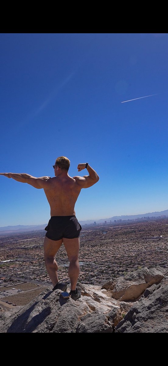 YOUR NEW FAVORITE tweet media