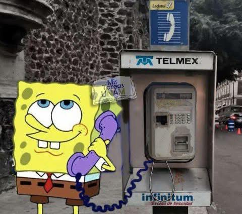 DRA. MERCEDES PAVON "SUPERMUELITA FIFÍ" tweet media