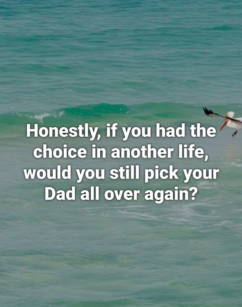 Elizabeth❣️ tweet media