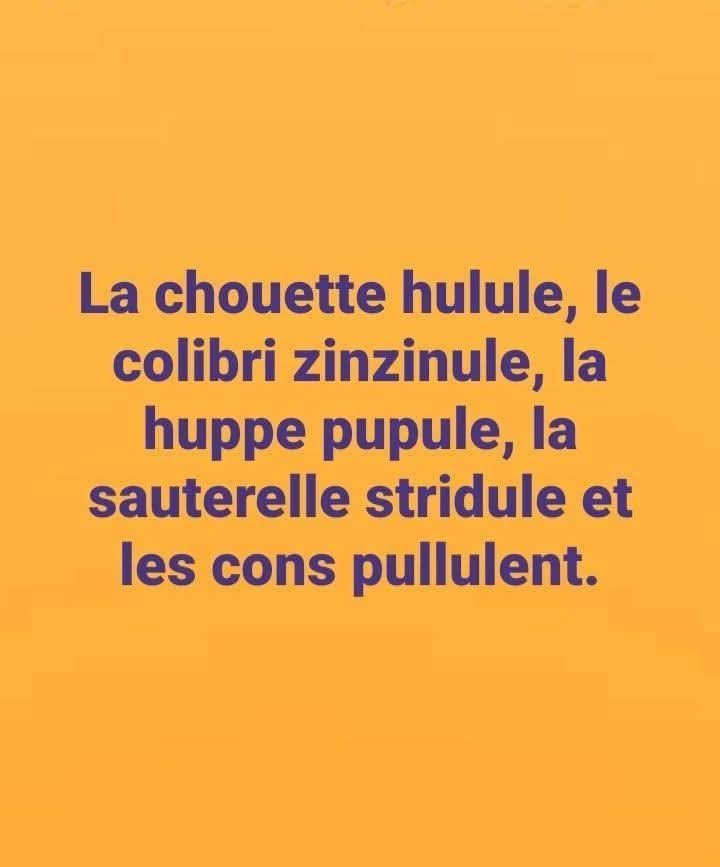 Maryline Maubois tweet media