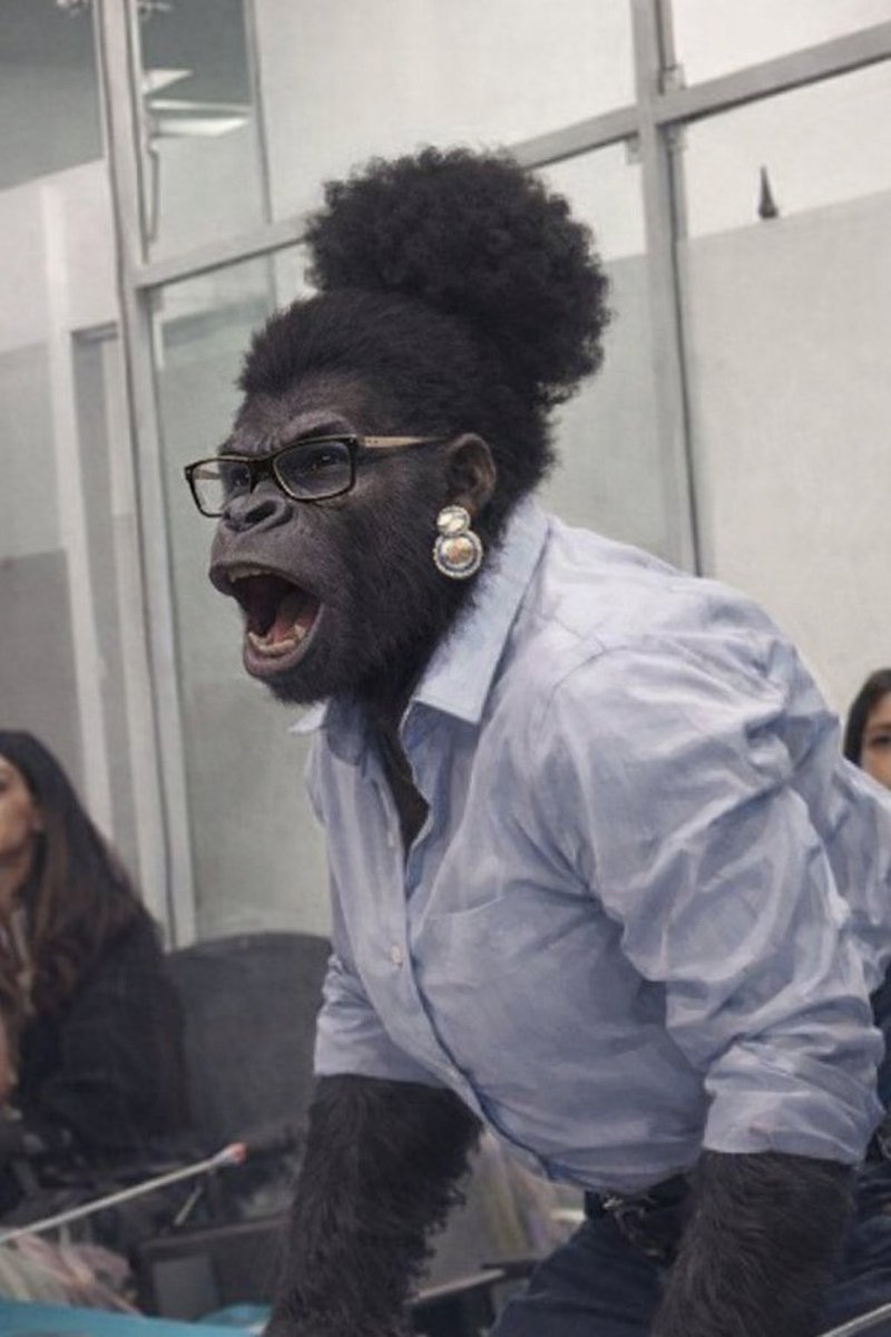 Peter 🇪🇨 tweet media