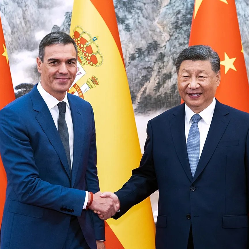 ✦✦✦ 𝙿𝚊𝚖𝚙𝚑𝚕𝚎𝚝𝚜 ✦✦✦ tweet media