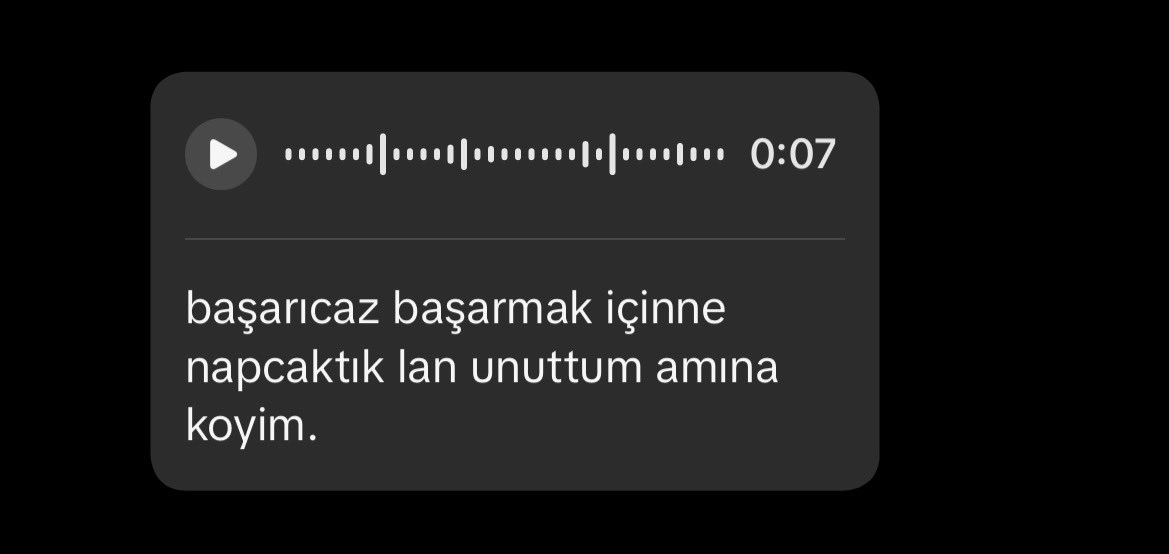 niran 🌊 tweet media