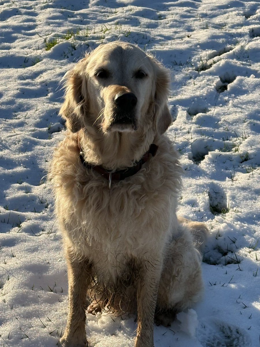 Anneli Lort tweet media