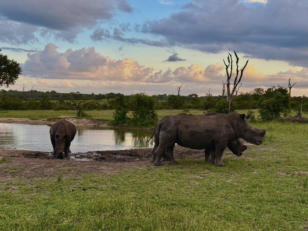 Karl Brophy tweet media