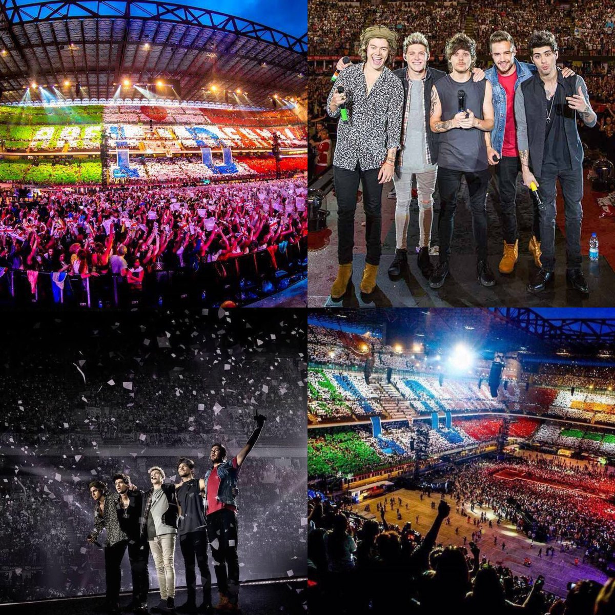 payno ❯❯❯❯❯ tweet media