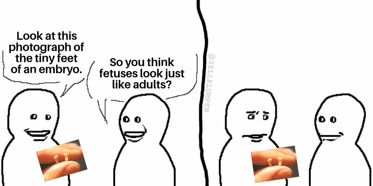 𝚌𝚕𝚞𝚖𝚙 𝚘𝚏 𝚌𝚎𝚕𝚕𝚜 tweet media