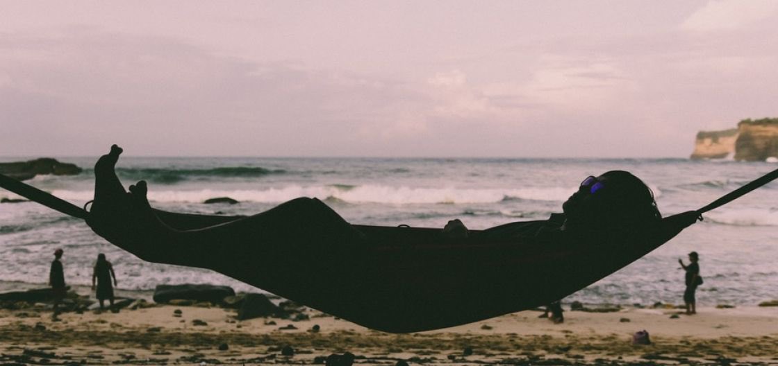 تحديث الأخبار tweet media