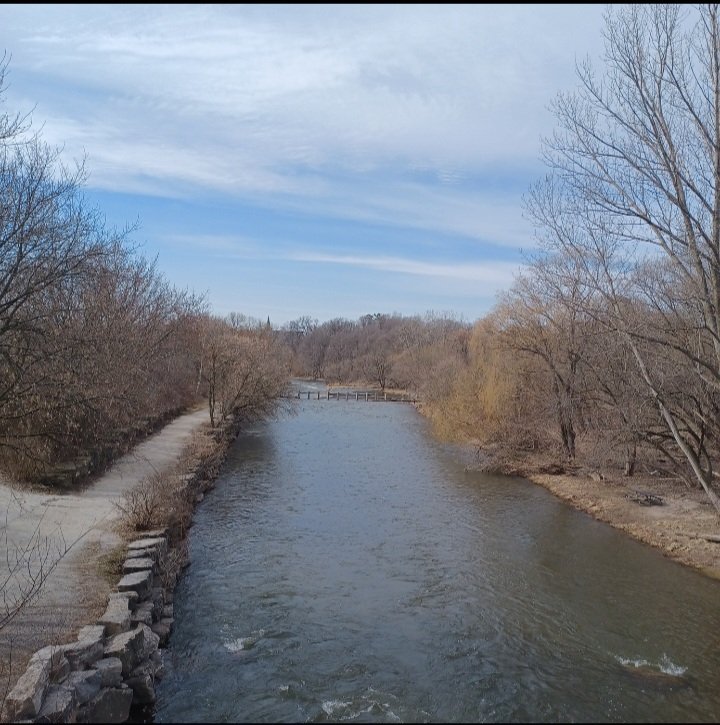 Steve Elshaw tweet media