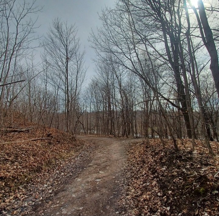 Steve Elshaw tweet media