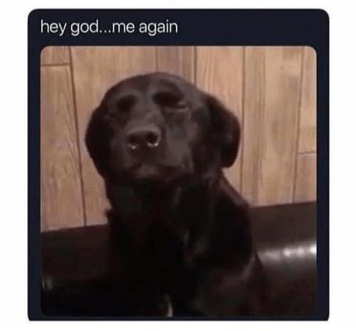 🇺🇸 Jables520 🇺🇸 tweet media