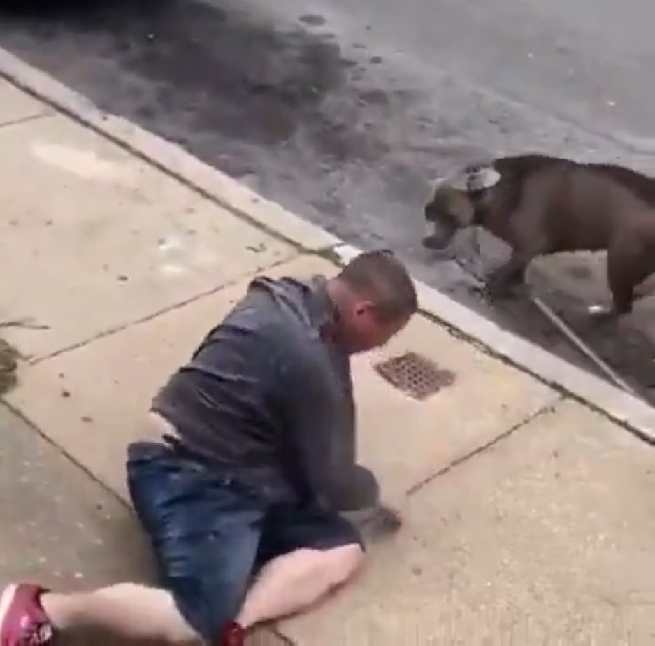 ZKO 🇦🇷 tweet media