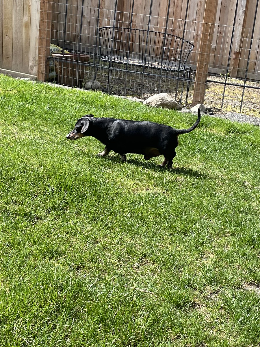 Karls (legally baby) tweet media