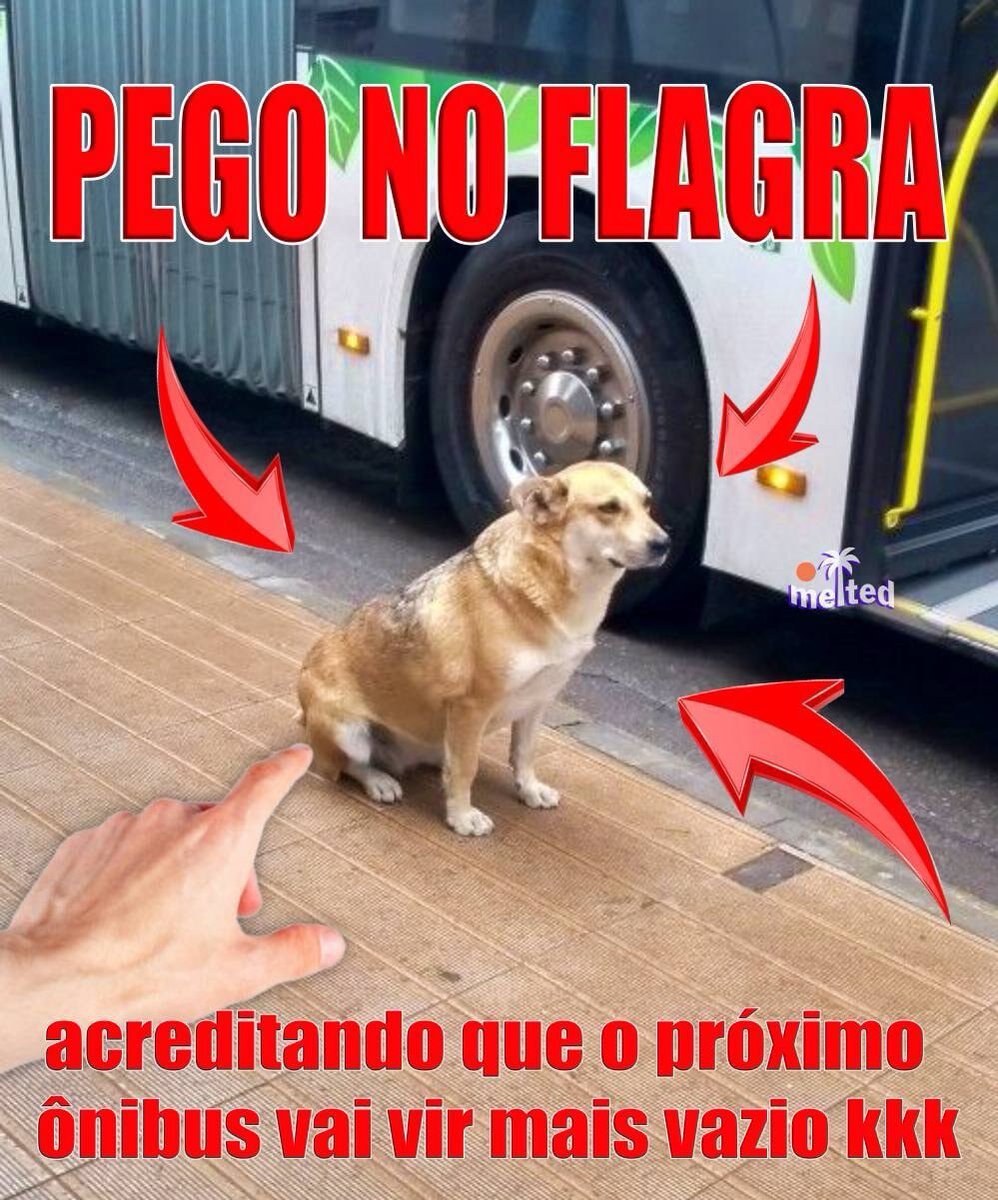 Calvo 😔 tweet media