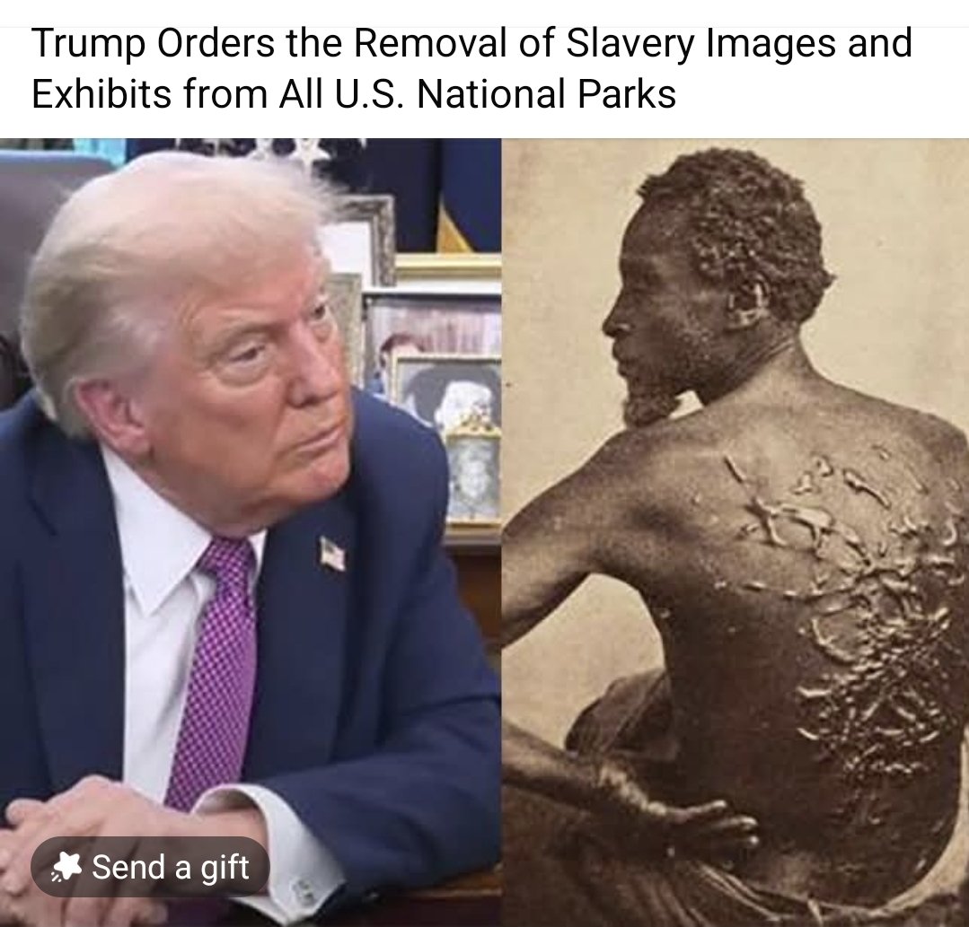 ALi803 🐲 tweet media