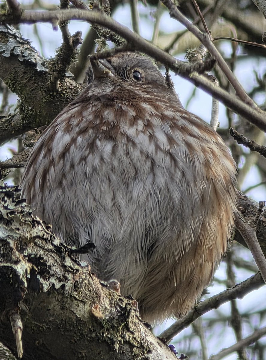 Lady Di 🇨🇦🇺🇦💙💛 tweet media