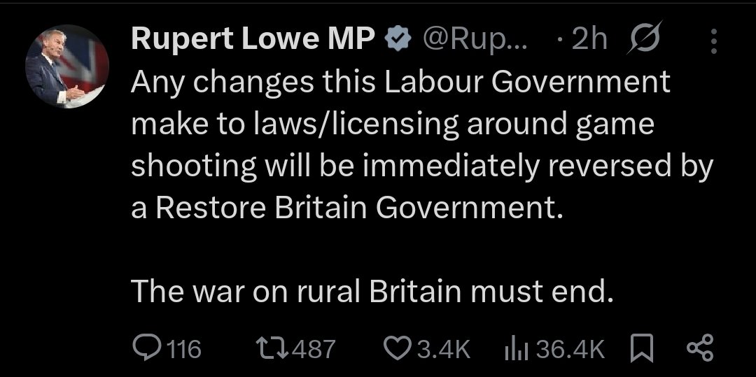 The savvy squire tweet media