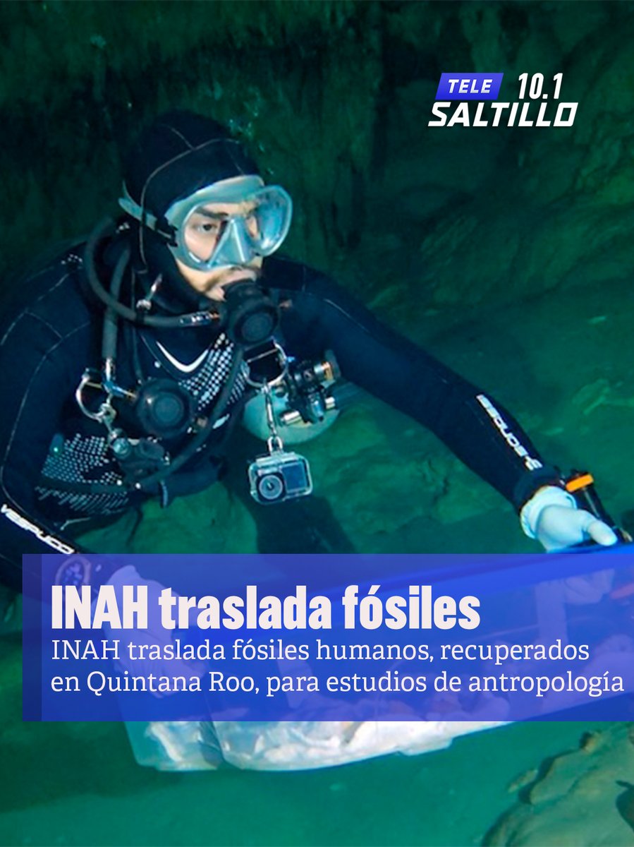 Tele Saltillo tweet media