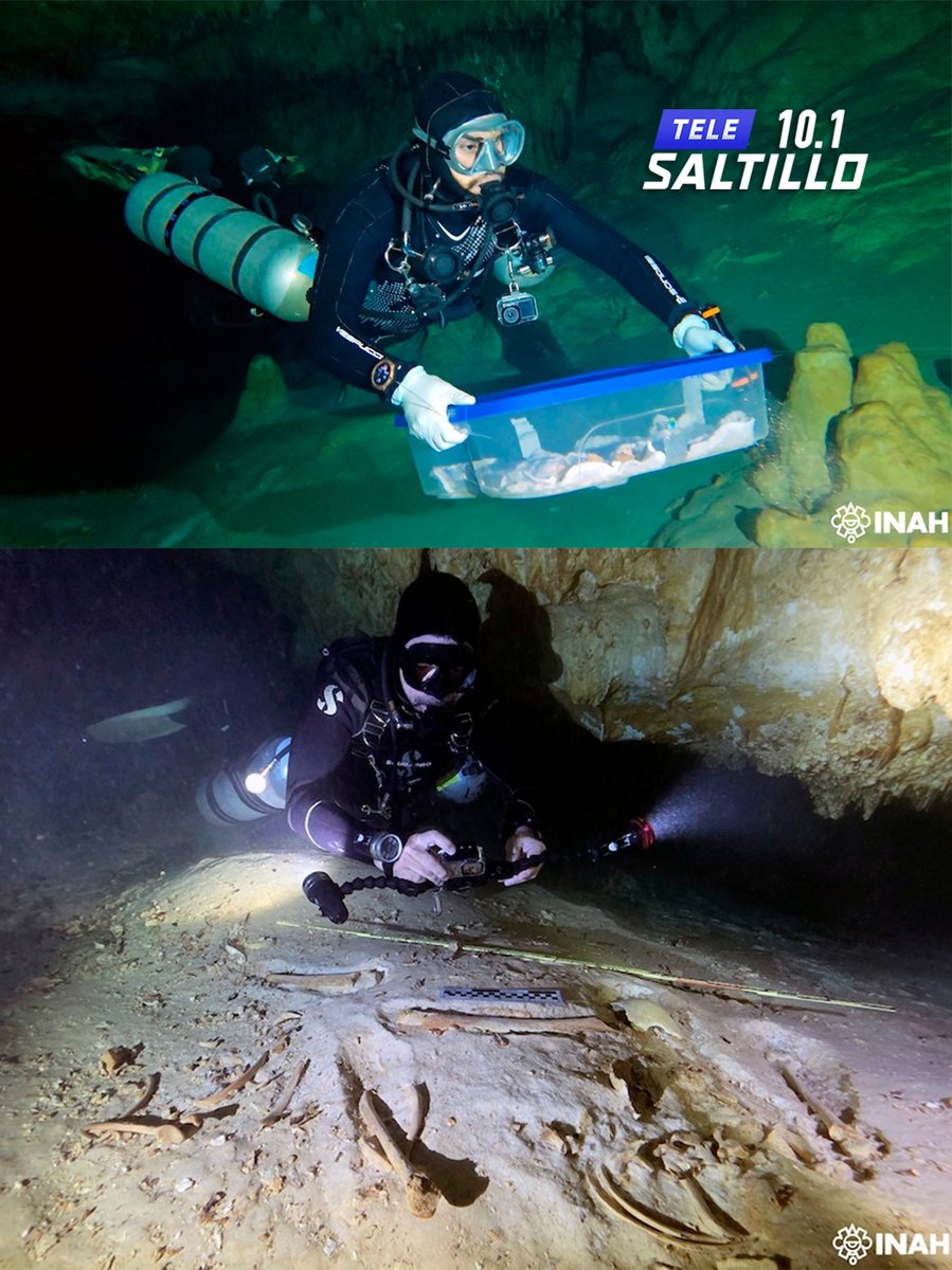 Tele Saltillo tweet media