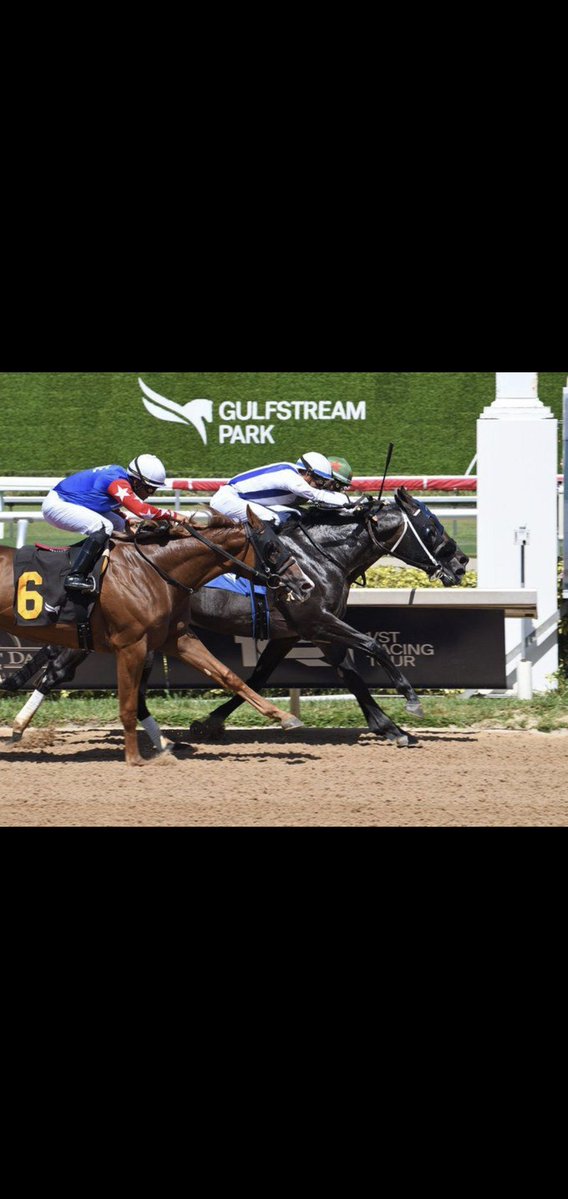 عايض البقمي tweet media